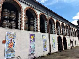 IMG_20180406_134350565 (2)