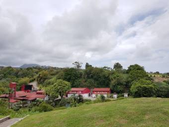 WhatsApp Image 2019-07-14 at 18.36.50