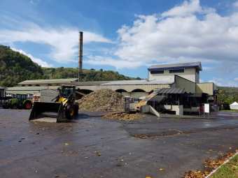 WhatsApp Image 2019-07-14 at 18.37.11