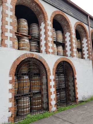 WhatsApp Image 2019-07-14 at 18.41.55.jpeg