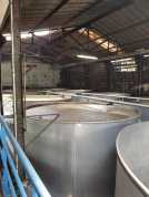 WhatsApp Image 2019-07-14 at 18.41.57.jpeg