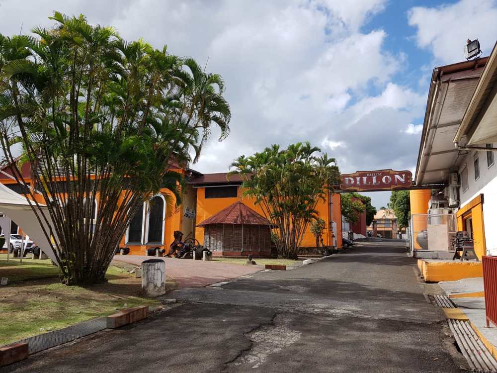 WhatsApp Image 2019-07-14 at 18.41.57(1).jpeg