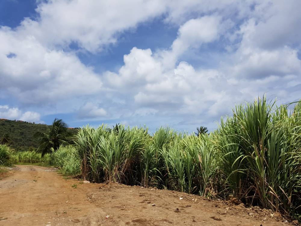 WhatsApp Image 2019-07-14 at 18.41.58(3).jpeg