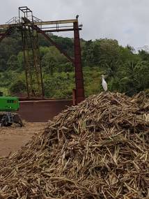 WhatsApp Image 2019-07-14 at 18.52.39