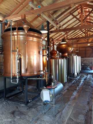 WhatsApp Image 2019-07-14 at 18.52.44