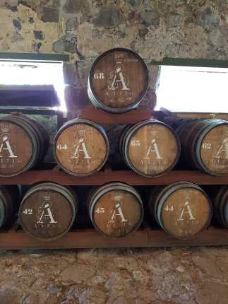 WhatsApp Image 2019-07-14 at 18.52.44(2)