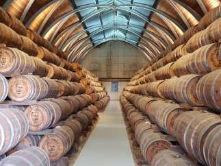 WhatsApp Image 2019-07-14 at 18.53.32.jpeg