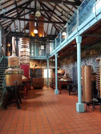 WhatsApp Image 2019-07-19 at 09.27.23